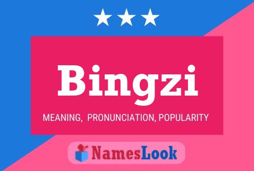 ملصق اسم Bingzi