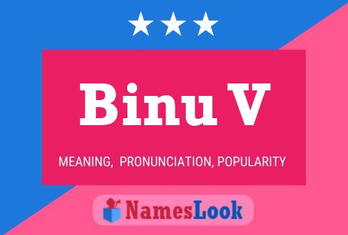 ملصق اسم Binu V