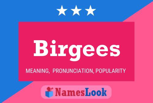 ملصق اسم Birgees