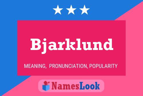 ملصق اسم Bjarklund