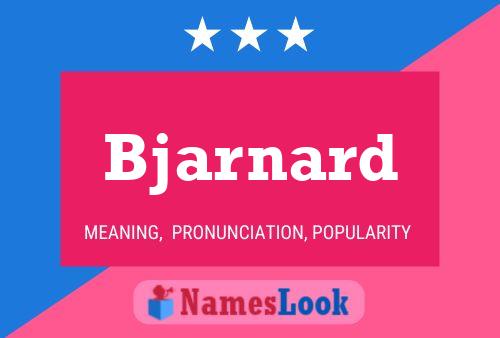 ملصق اسم Bjarnard