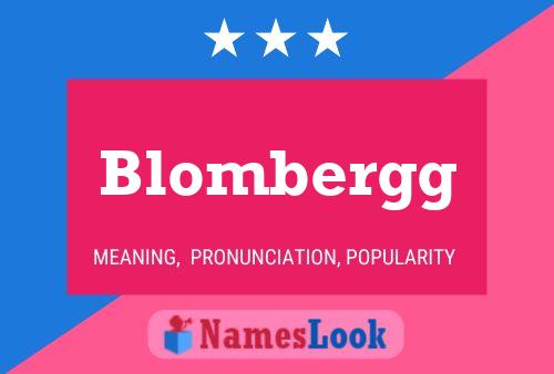 ملصق اسم Blombergg