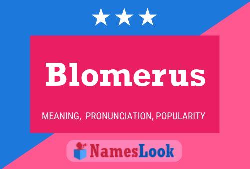 ملصق اسم Blomerus