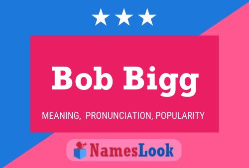 ملصق اسم Bob Bigg