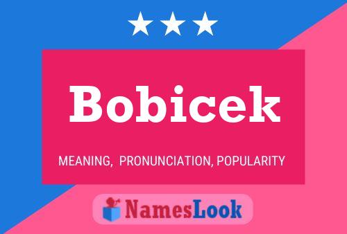 ملصق اسم Bobicek