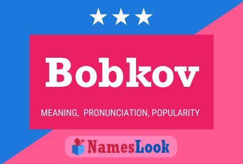 ملصق اسم Bobkov