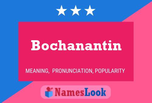 ملصق اسم Bochanantin