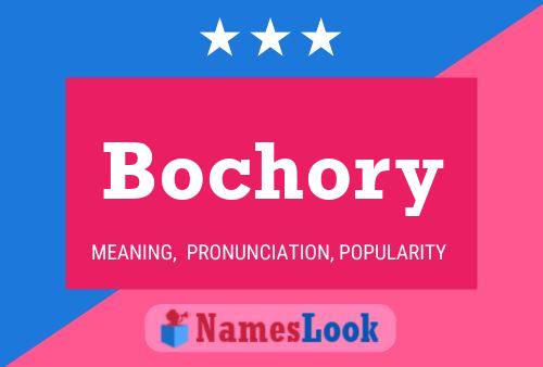 ملصق اسم Bochory