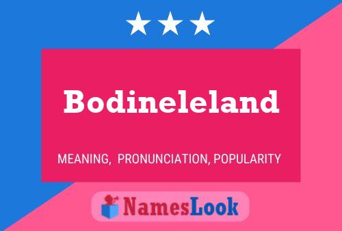 ملصق اسم Bodineleland