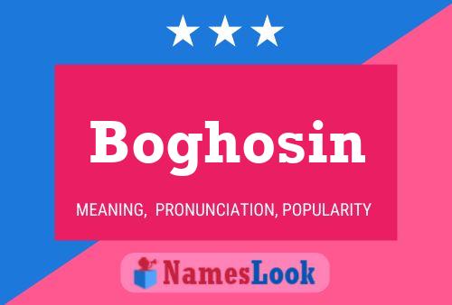 ملصق اسم Boghosin