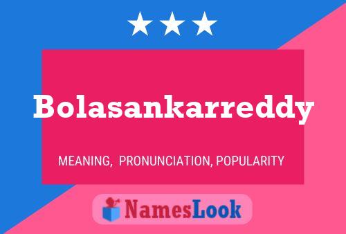 ملصق اسم Bolasankarreddy