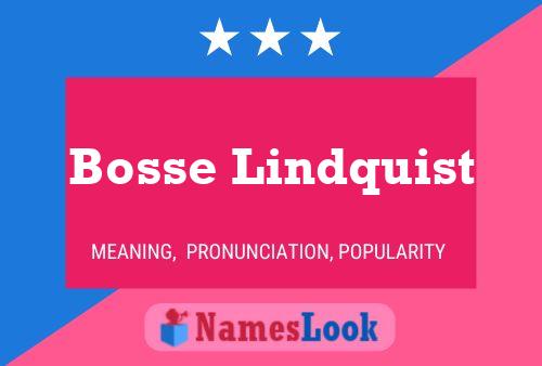 ملصق اسم Bosse Lindquist