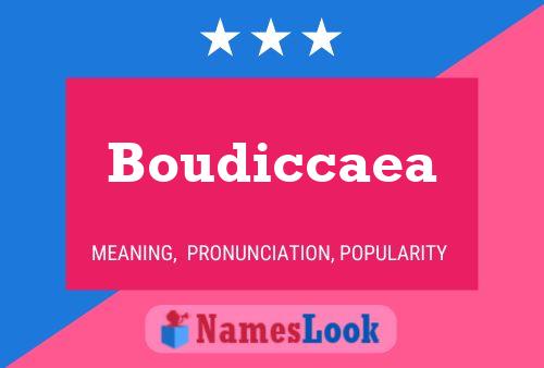 ملصق اسم Boudiccaea