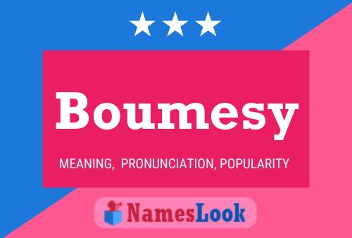 ملصق اسم Boumesy