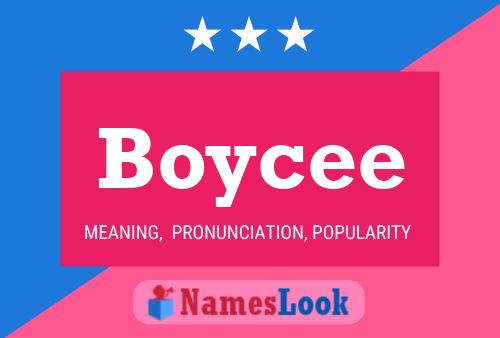 ملصق اسم Boycee