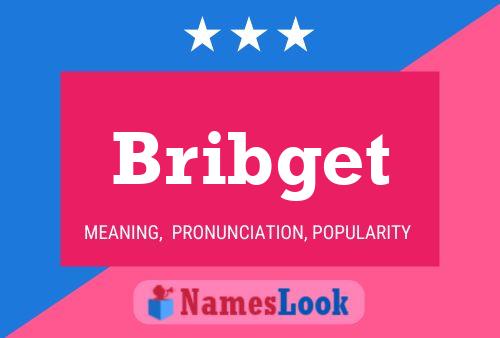 ملصق اسم Bribget