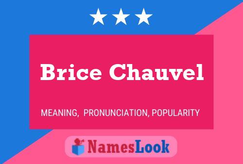 ملصق اسم Brice Chauvel