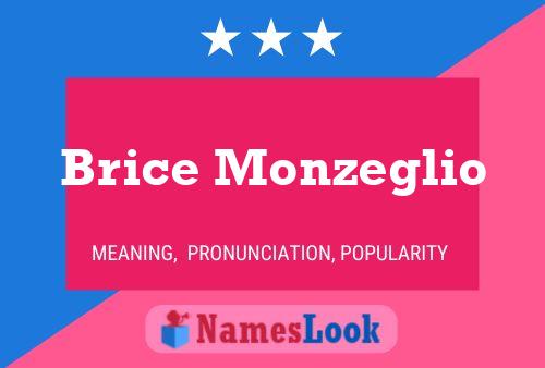 ملصق اسم Brice Monzeglio