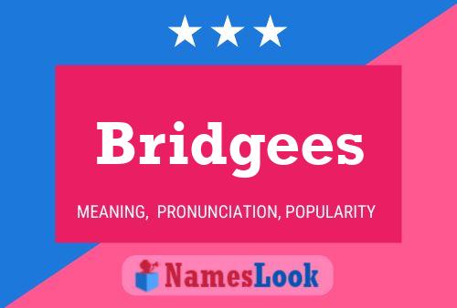 ملصق اسم Bridgees