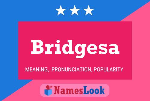 ملصق اسم Bridgesa