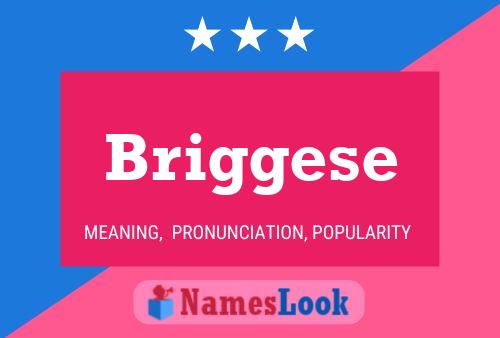 ملصق اسم Briggese