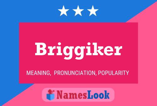 ملصق اسم Briggiker