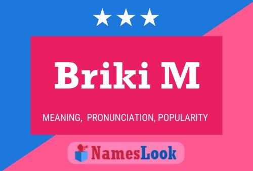 ملصق اسم Briki M