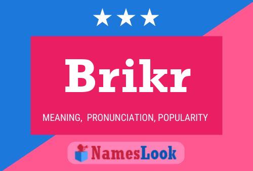 ملصق اسم Brikr