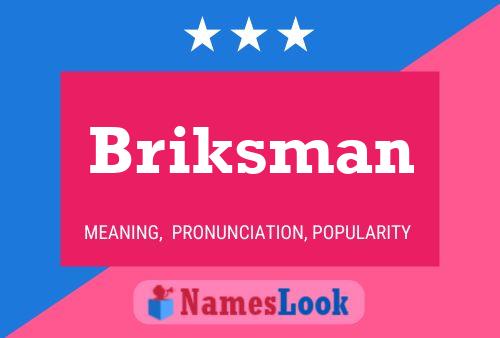 ملصق اسم Briksman