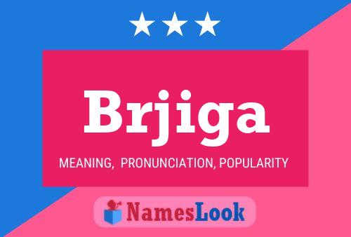 ملصق اسم Brjiga