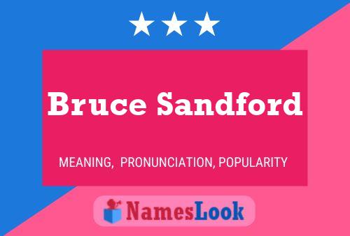 ملصق اسم Bruce Sandford