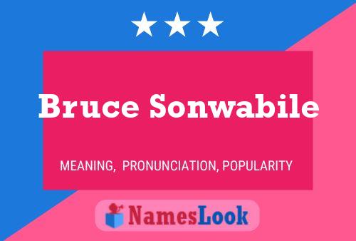 ملصق اسم Bruce Sonwabile