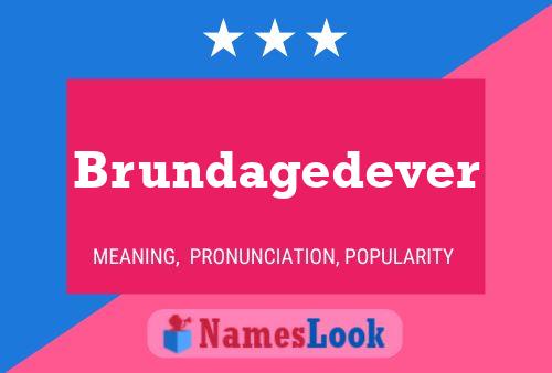 ملصق اسم Brundagedever