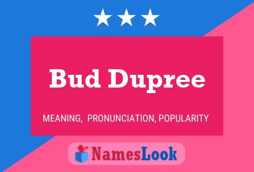 ملصق اسم Bud Dupree