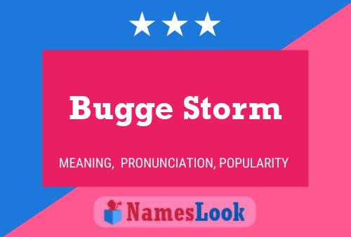 ملصق اسم Bugge Storm