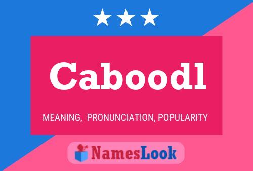 ملصق اسم Caboodl