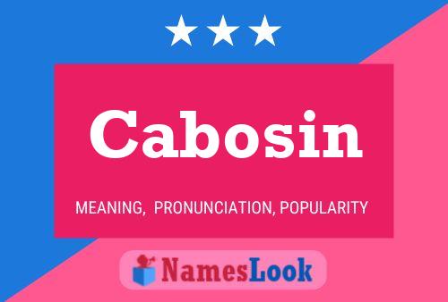 ملصق اسم Cabosin