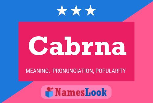 ملصق اسم Cabrna