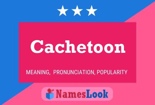 ملصق اسم Cachetoon