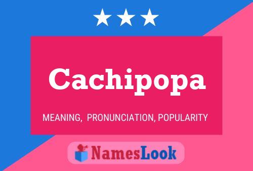 ملصق اسم Cachipopa