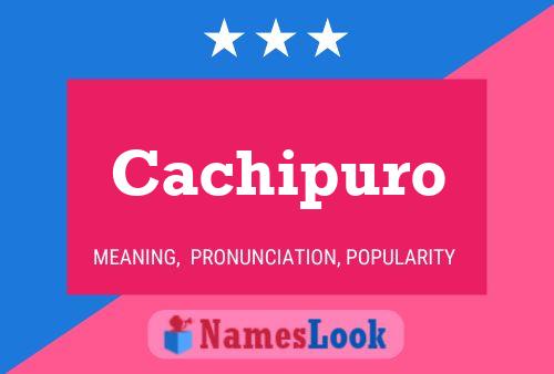 ملصق اسم Cachipuro