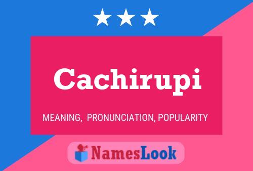 ملصق اسم Cachirupi