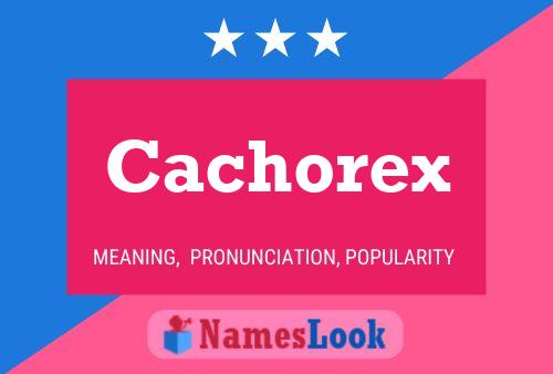 ملصق اسم Cachorex