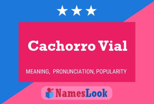 ملصق اسم Cachorro Vial