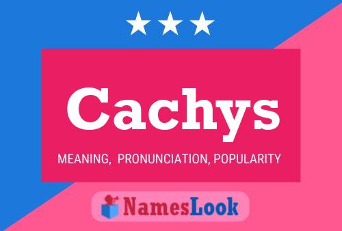 ملصق اسم Cachys