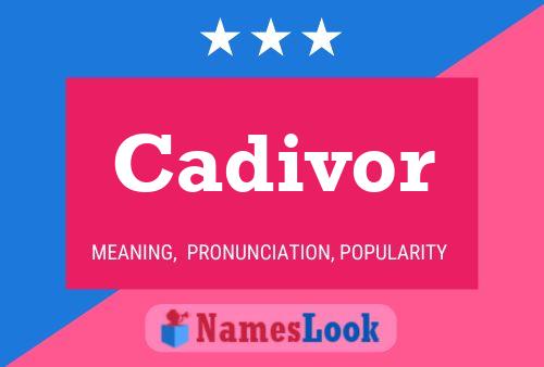 ملصق اسم Cadivor