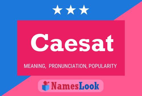 ملصق اسم Caesat