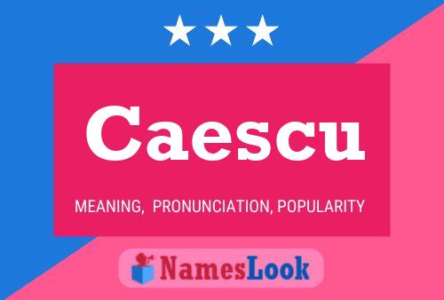 ملصق اسم Caescu