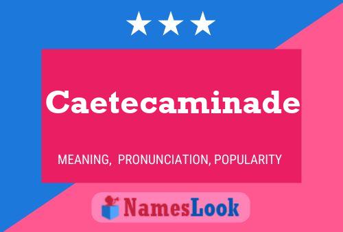 ملصق اسم Caetecaminade