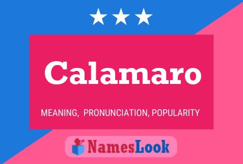 ملصق اسم Calamaro